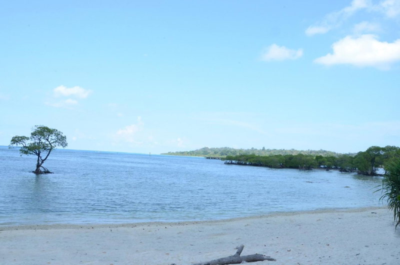 Coconhuts Beach Resort, Neil Island, India