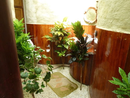 Eden Garden Ayurvedic Health Retreat, Varkala, India
