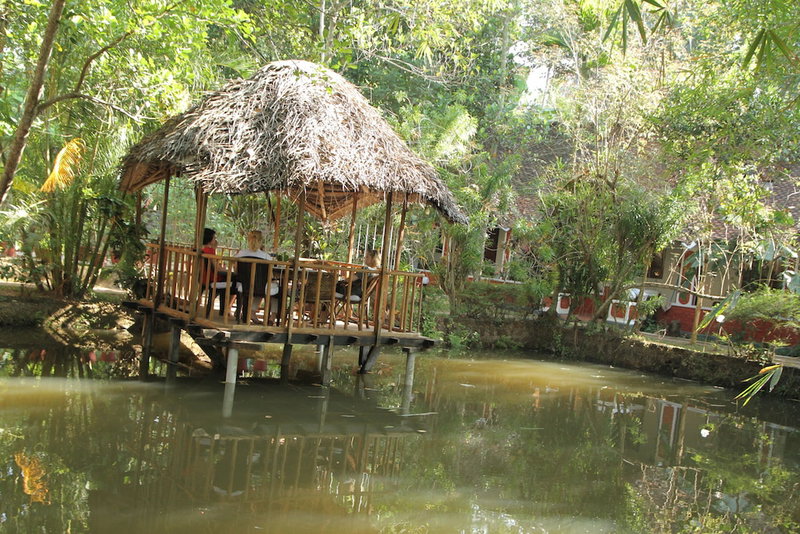 Eden Garden Ayurvedic Health Retreat, Varkala, India