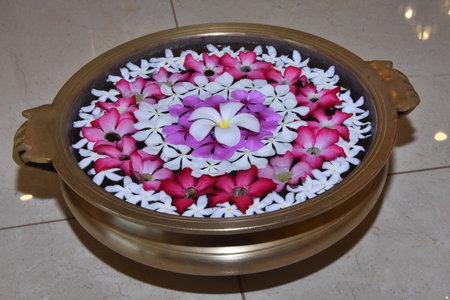 juSTa Sarang, Rameswaram, Rāmeswaram, India