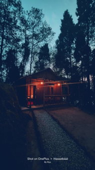 Orion Retreat, Darjeeling, India