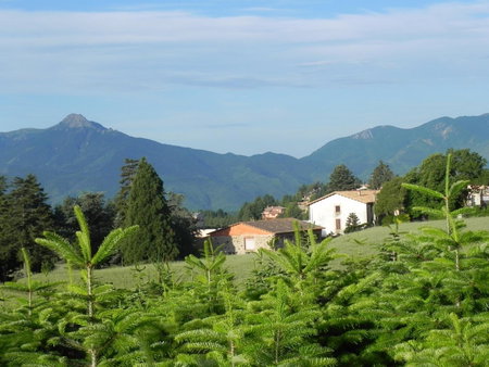 Hotel Ripoll, Sant Hilari Sacalm, Spain