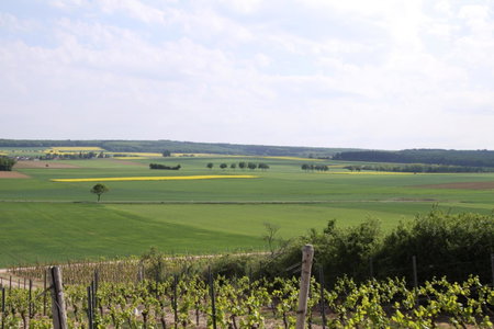 Der espenhof Landhotel, Tagungshotel & Weingut, Flonheim, Germany