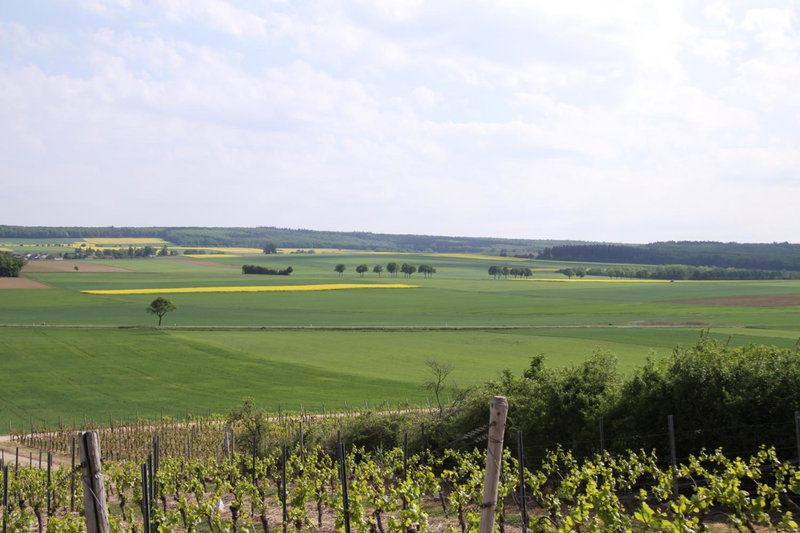 Der espenhof Landhotel, Tagungshotel & Weingut, Flonheim, Germany