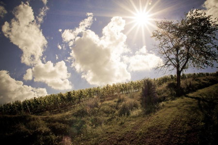 Der espenhof Landhotel, Tagungshotel & Weingut, Flonheim, Germany
