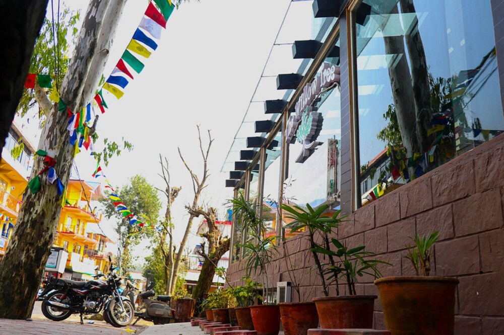 Hotel · GK Resorts, Dharamshala