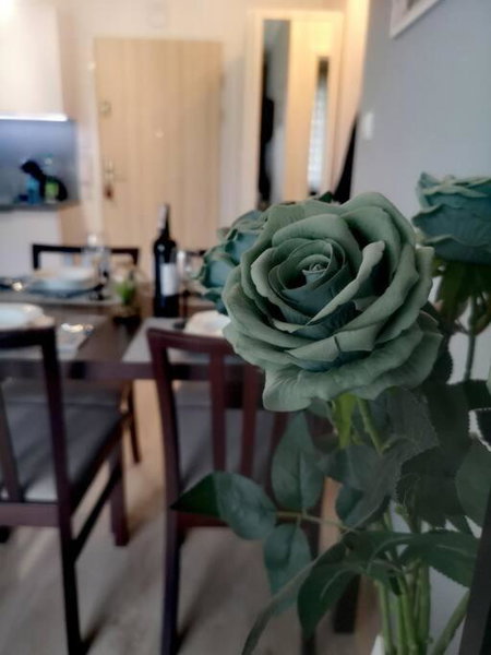 Apartament Turkusowy nad Morzem Kołobrzeg Podczele, Kołobrzeg, Poland