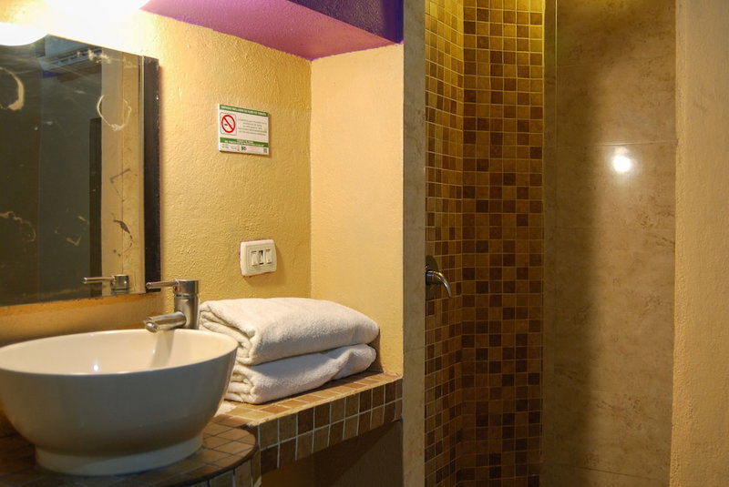 Hotel Platino, Monterrey, Mexico