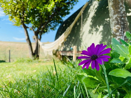 Glamping Turquesa, feel and relax in a wood house, Corredoura, Portugal