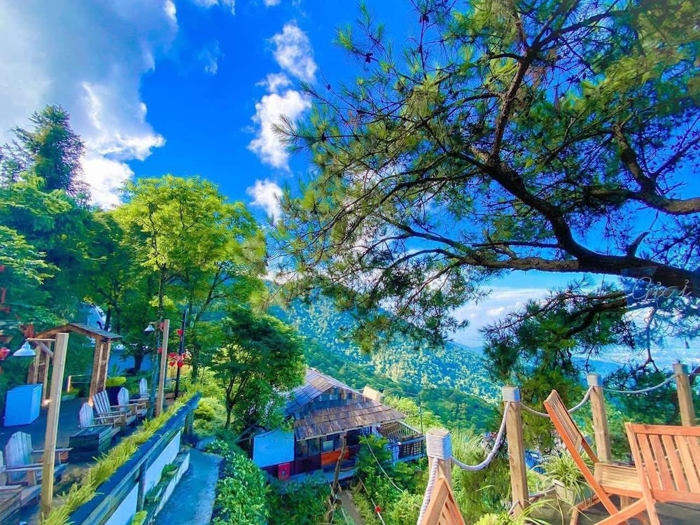 Mo Mang House Tam Đao, Viêt Nam