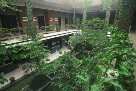 Savita Garden Inn, Ngaglik, Indonesia