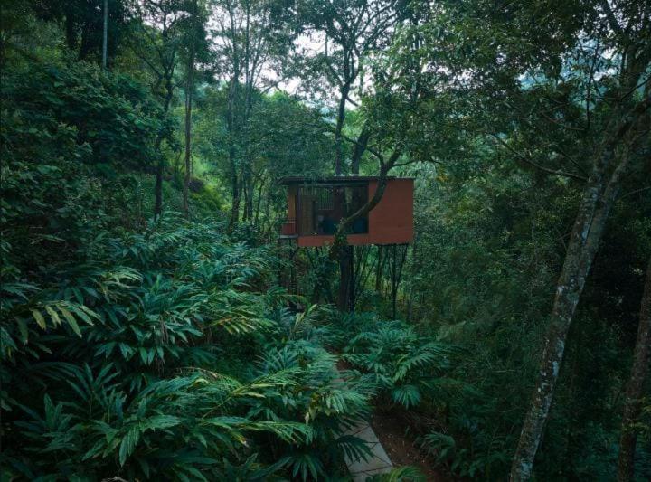 Eterno Camellia & Elettaria Luxury Resort Munnar, Munnar, India
