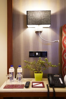 Babylon Capital, Raipur, India