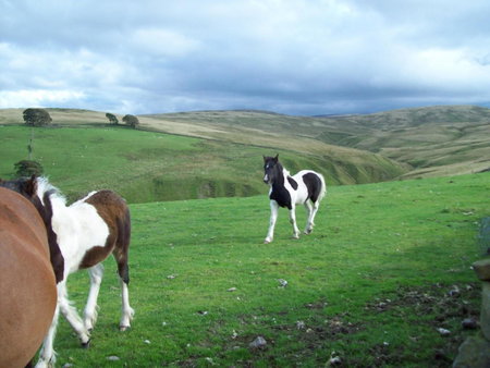 The Old School B&B, Tebay, United Kingdom