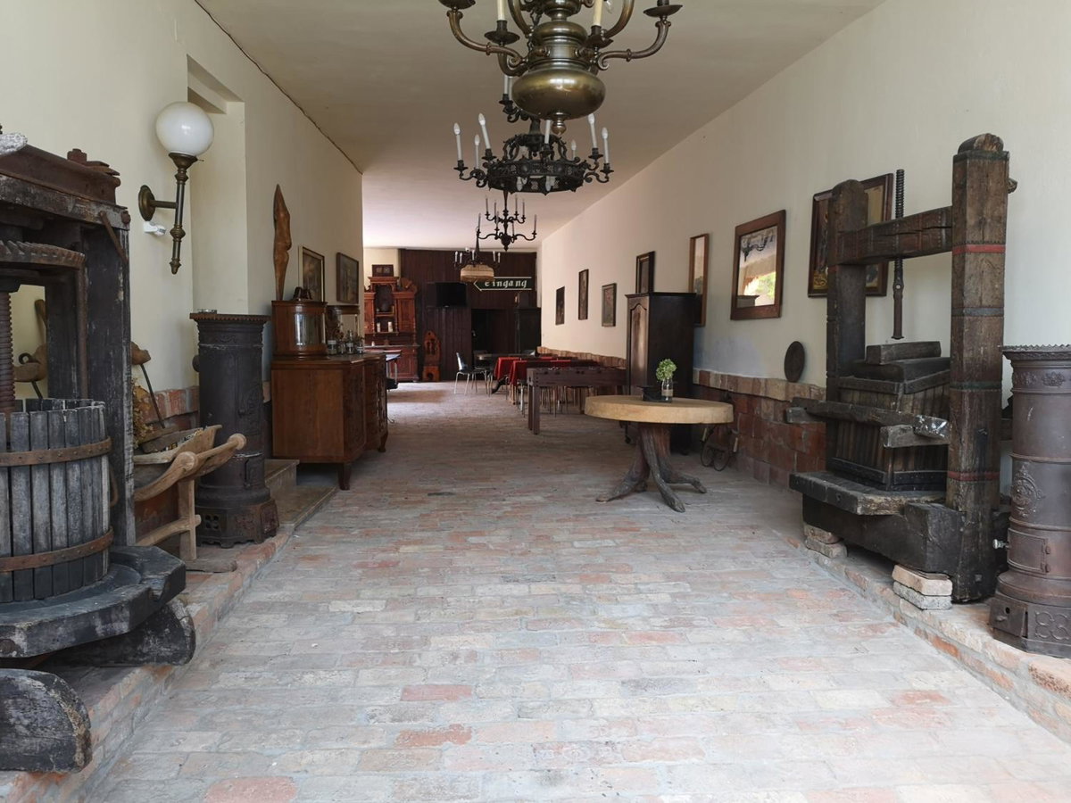 Máté Pension, Austria