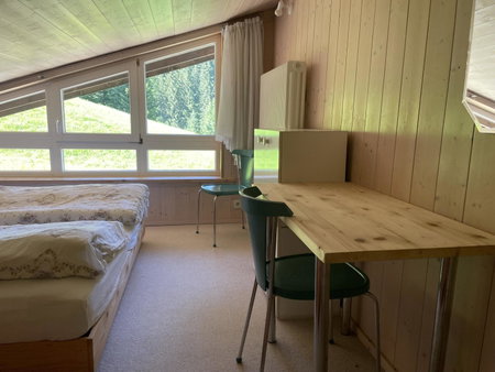 Fewo 1 am Auweg, Hirschegg, Austria