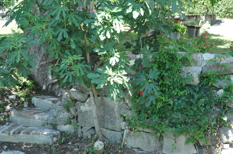 Apartment Marioni, Buzet, Croatia