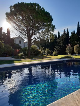 Rémy A Dit, St.-Rémy-de-Provence, France