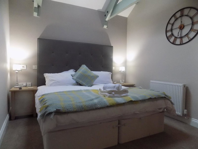 Dunlin, Belford, United Kingdom