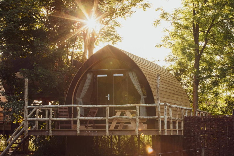 Boomhuis met wellness - Vakantiepark de Schreiershoek, Dokkum, The Netherlands