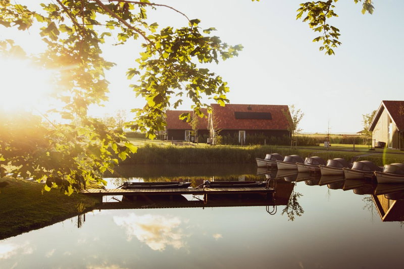 Boomhuis met wellness - Vakantiepark de Schreiershoek, Dokkum, The Netherlands