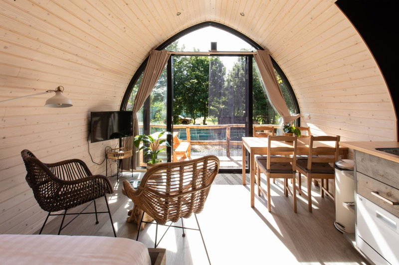 Boomhuis met wellness - Vakantiepark de Schreiershoek, Dokkum, The Netherlands