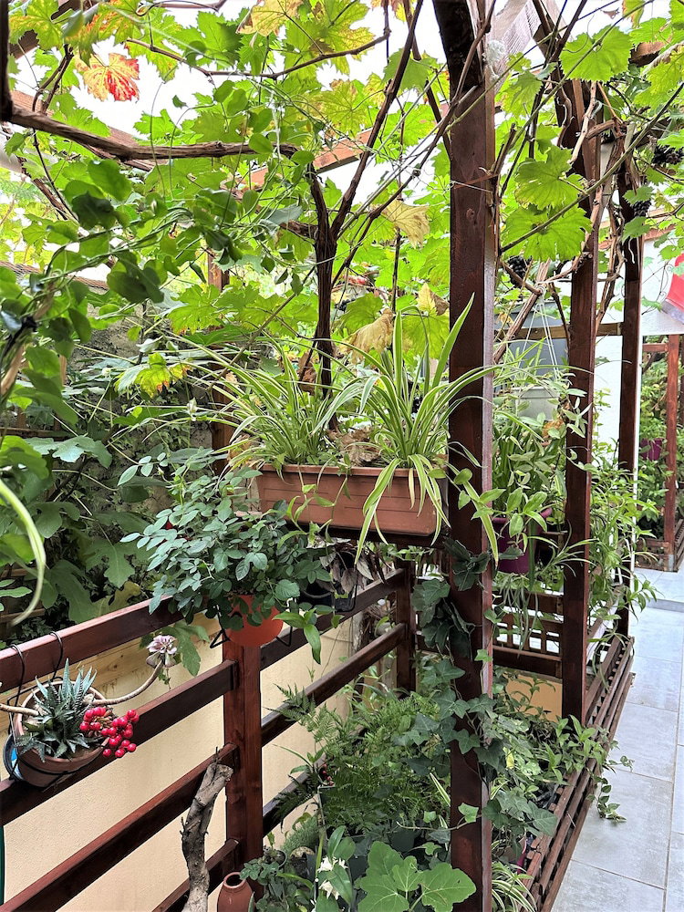 L'Oasis Montparnasse, France