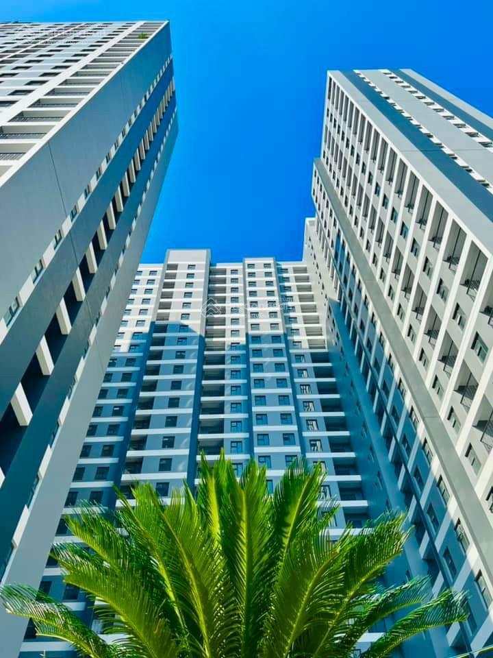 Hanhomes Blue Star, Vietnam