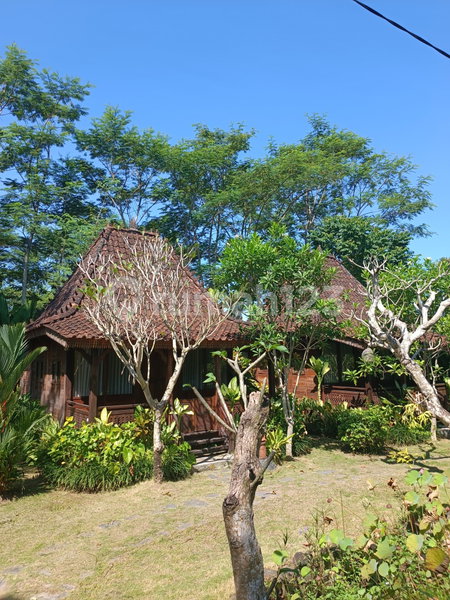 House for rent in Denpasar, Indonesia · 2 rooms, 2 baths