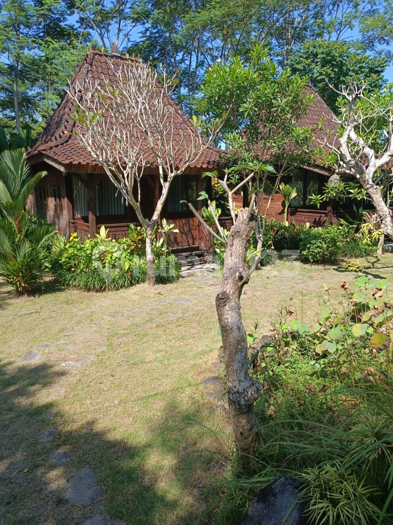 House in Denpasar, Indonesia