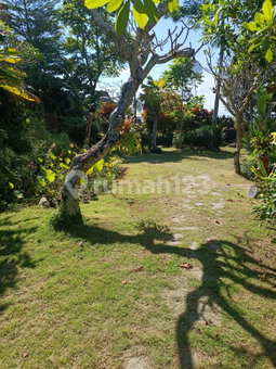 House for rent in Denpasar, Indonesia · 2 rooms, 2 baths