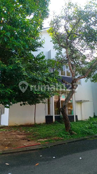 House for rent in Semarang, Indonesia · Mungkur Elephant · 3 rooms, 2 baths