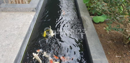 House for rent in Medan, Indonesia · Aura · 3 rooms, 3 baths