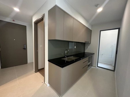 Apartment for rent in Ho Chi Minh City, Vietnam · Ho Chi Minh City · 2 rooms, 2 baths