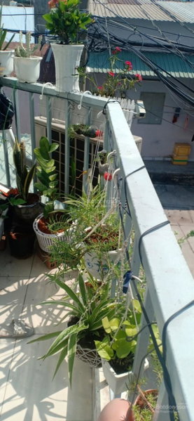 Apartment for rent in Ho Chi Minh City, Vietnam · 8/22/3a · 2 rooms, 2 baths