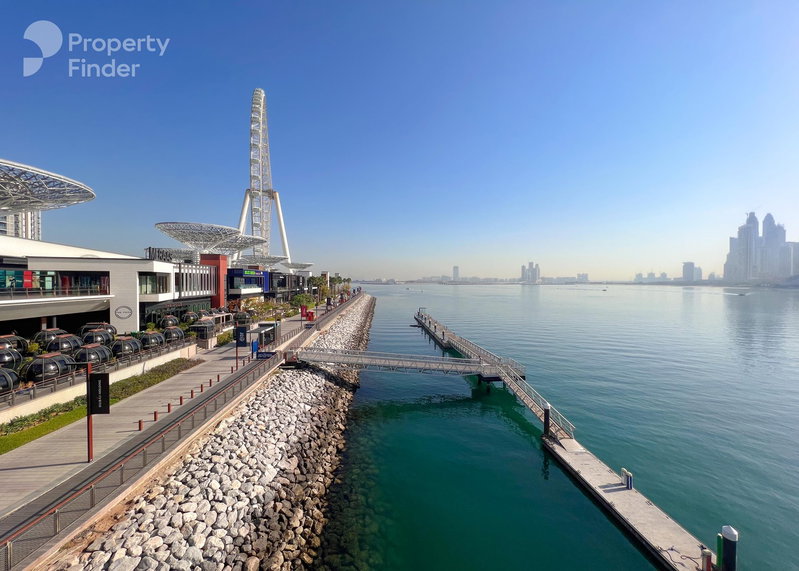 Apartment for rent in Dubai, United Arab Emirates · The Residences at Caesars Resort · 1 room, 2 baths
