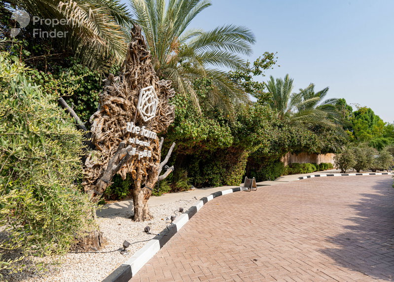Apartment for rent in Dubai, United Arab Emirates · The Neighbourhood · 1 room, 1 bath