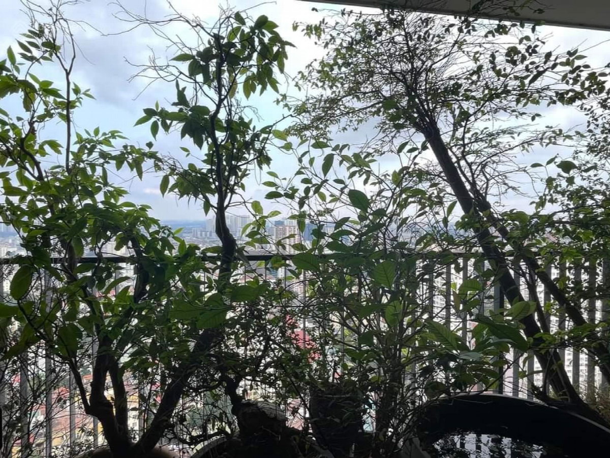 93 Lo Duc - Kinh Do Tower, Viêt Nam