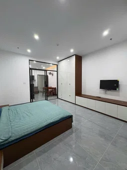 Apartment for rent in Da Nang, Vietnam · CozyHome · 1 room, 1 bath