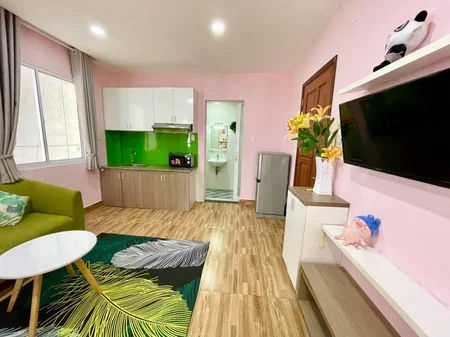 Apartment for rent in Ho Chi Minh City, Vietnam · District 4 · 1 room, 1 bath