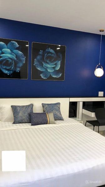 Apartment for rent in Da Nang, Vietnam · Son Tra · 2 rooms, 1 bath