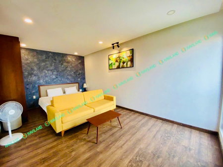 Apartment for rent in Da Nang, Vietnam · ing · 1 room, 1 bath