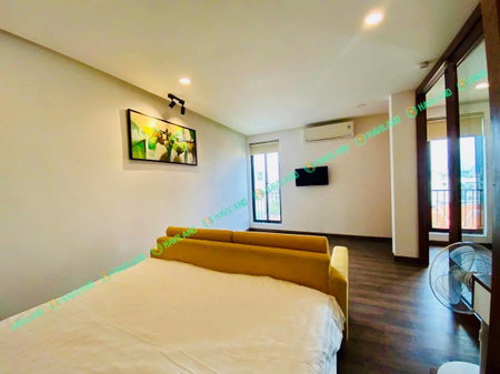Apartment for rent in Da Nang, Vietnam · ing · 1 room, 1 bath