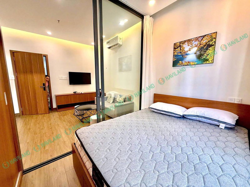 Apartment for rent in Da Nang, Vietnam · ing · 1 room, 1 bath
