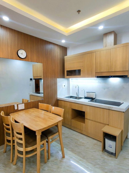 Apartment for rent in Da Nang, Vietnam · An Thuong · 1 room, 1 bath