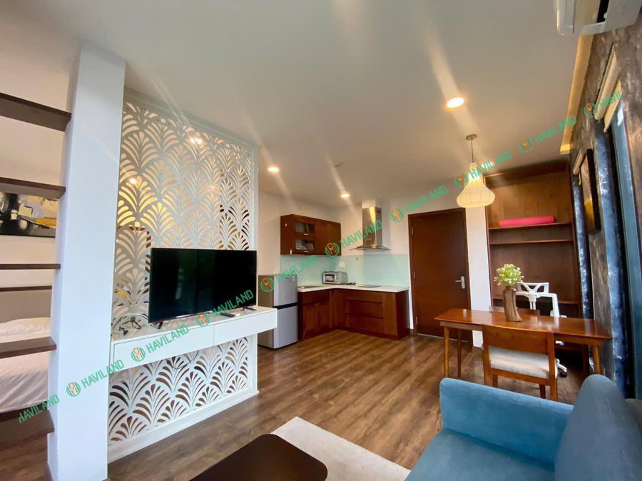 Apartment for rent in Da Nang, Vietnam · ing · 1 room, 1 bath
