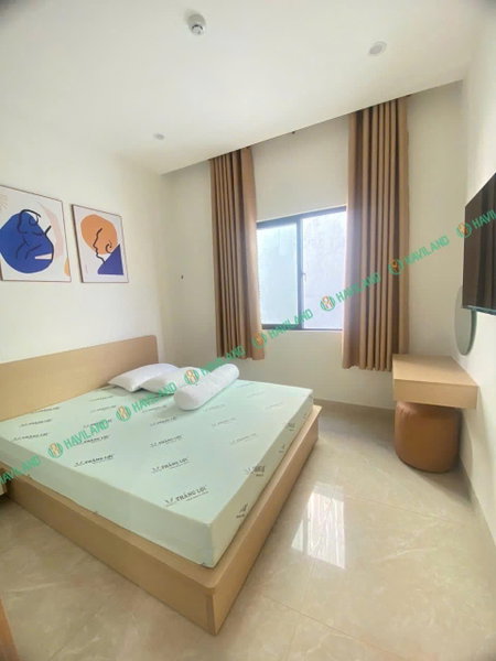 Apartment for rent in Da Nang, Vietnam · ing · 1 room, 1 bath