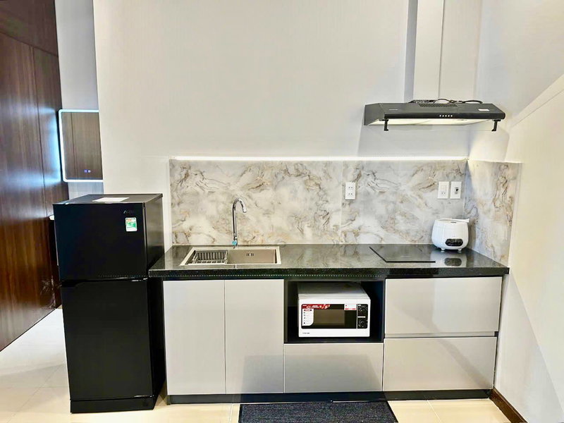Apartment for rent in Da Nang, Vietnam · Hai Chau · 1 room, 1 bath