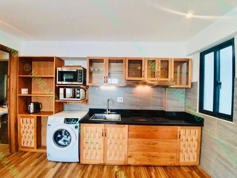 Apartment for rent in Da Nang, Vietnam · Son Tra · 1 room, 1 bath