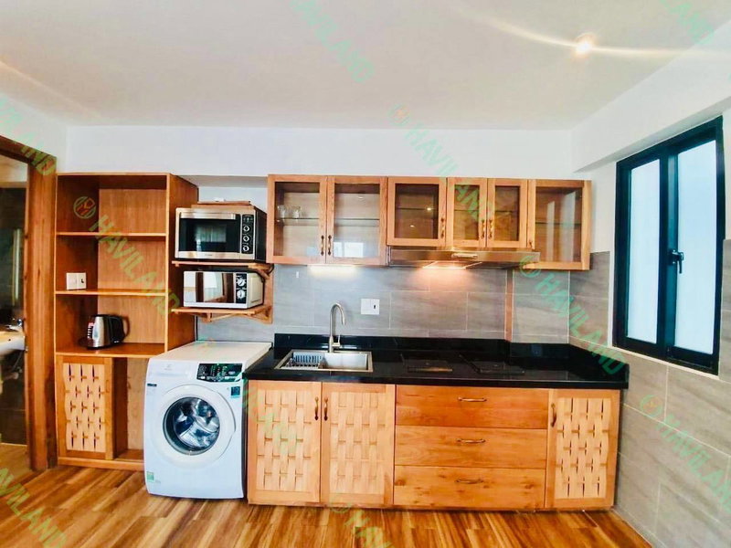 Apartment for rent in Da Nang, Vietnam · Son Tra · 1 room, 1 bath
